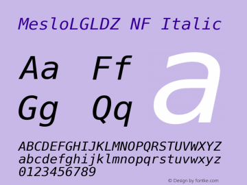 Meslo LG L DZ Italic Nerd Font Complete Windows Compatible 1.210图片样张