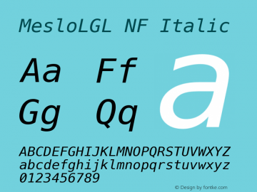 Meslo LG L Italic Nerd Font Complete Mono Windows Compatible 1.210图片样张