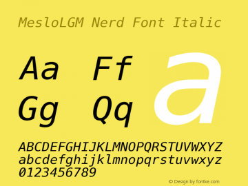 Meslo LG M Italic Nerd Font Complete 1.210 Font Sample