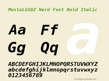 Meslo LG S DZ Bold Italic Nerd Font Complete 1.210 Font Sample