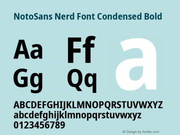 Noto Sans Condensed Bold Nerd Font Complete Version 2.000;GOOG;noto-source:20170915:90ef993387c0; ttfautohint (v1.7)图片样张