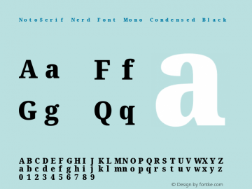 Noto Serif Condensed Black Nerd Font Complete Mono Version 2.000;GOOG;noto-source:20170915:90ef993387c0; ttfautohint (v1.7)图片样张