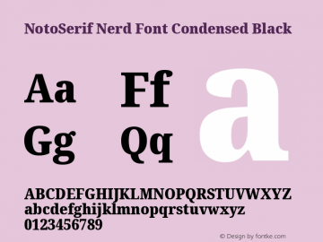 Noto Serif Condensed Black Nerd Font Complete Version 2.000;GOOG;noto-source:20170915:90ef993387c0; ttfautohint (v1.7)图片样张