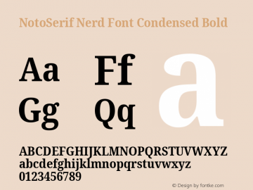 Noto Serif Condensed Bold Nerd Font Complete Version 2.000;GOOG;noto-source:20170915:90ef993387c0; ttfautohint (v1.7)图片样张