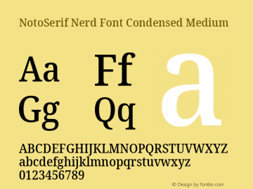 Noto Serif Condensed Medium Nerd Font Complete Version 2.000;GOOG;noto-source:20170915:90ef993387c0; ttfautohint (v1.7)图片样张
