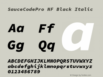 Sauce Code Pro Black Italic Nerd Font Complete Mono Windows Compatible Version 1.050;PS 1.000;hotconv 16.6.51;makeotf.lib2.5.65220 Font Sample