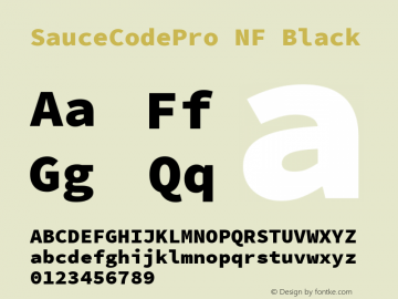 Sauce Code Pro Black Nerd Font Complete Windows Compatible Version 2.030;PS 1.000;hotconv 16.6.51;makeotf.lib2.5.65220 Font Sample
