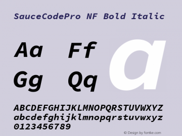 Sauce Code Pro Bold Italic Nerd Font Complete Windows Compatible Version 1.050;PS 1.000;hotconv 16.6.51;makeotf.lib2.5.65220 Font Sample