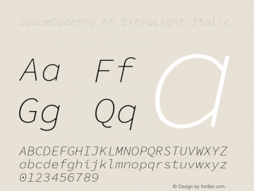 Sauce Code Pro ExtraLight Italic Nerd Font Complete Windows Compatible Version 1.050;PS 1.000;hotconv 16.6.51;makeotf.lib2.5.65220 Font Sample