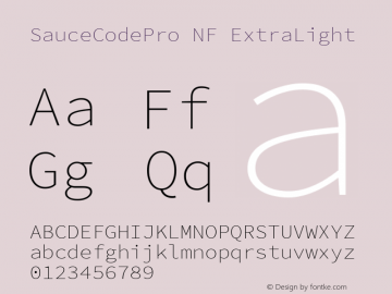 Sauce Code Pro ExtraLight Nerd Font Complete Windows Compatible Version 2.030;PS 1.000;hotconv 16.6.51;makeotf.lib2.5.65220 Font Sample