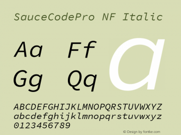 Sauce Code Pro Italic Nerd Font Complete Mono Windows Compatible Version 1.050;PS 1.000;hotconv 16.6.51;makeotf.lib2.5.65220 Font Sample