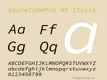Sauce Code Pro Italic Nerd Font Complete Windows Compatible Version 1.050;PS 1.000;hotconv 16.6.51;makeotf.lib2.5.65220 Font Sample