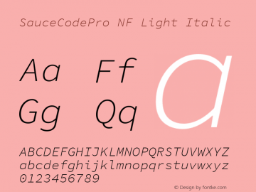 Sauce Code Pro Light Italic Nerd Font Complete Windows Compatible Version 1.050;PS 1.000;hotconv 16.6.51;makeotf.lib2.5.65220 Font Sample