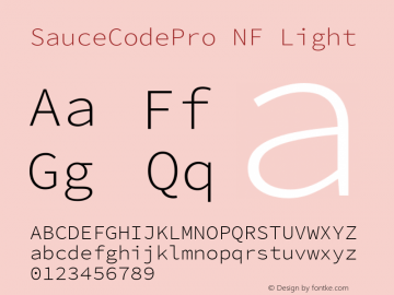 Sauce Code Pro Light Nerd Font Complete Mono Windows Compatible Version 2.030;PS 1.000;hotconv 16.6.51;makeotf.lib2.5.65220图片样张