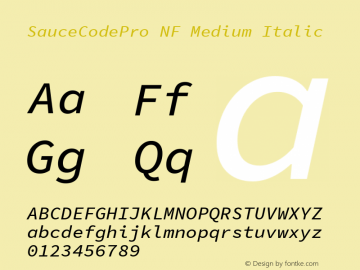 Sauce Code Pro Medium Italic Nerd Font Complete Mono Windows Compatible Version 1.050;PS 1.000;hotconv 16.6.51;makeotf.lib2.5.65220 Font Sample