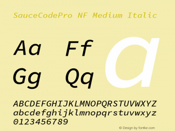 Sauce Code Pro Medium Italic Nerd Font Complete Mono Windows Compatible Version 1.050;PS 1.000;hotconv 16.6.51;makeotf.lib2.5.65220图片样张