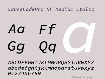 Sauce Code Pro Medium Italic Nerd Font Complete Windows Compatible Version 1.050;PS 1.000;hotconv 16.6.51;makeotf.lib2.5.65220 Font Sample