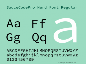 Sauce Code Pro Nerd Font Complete Version 2.030;PS 1.000;hotconv 16.6.51;makeotf.lib2.5.65220图片样张