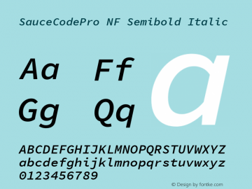 Sauce Code Pro Semibold Italic Nerd Font Complete Windows Compatible Version 1.050;PS 1.000;hotconv 16.6.51;makeotf.lib2.5.65220 Font Sample
