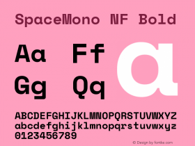 Space Mono Bold Nerd Font Complete Windows Compatible Version 1.000;PS 1.000;hotconv 1.0.81;makeotf.lib2.5.63406图片样张