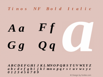 Tinos Bold Italic Nerd Font Complete Mono Windows Compatible Version 1.23图片样张