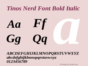 Tinos Bold Italic Nerd Font Complete Version 1.23 Font Sample