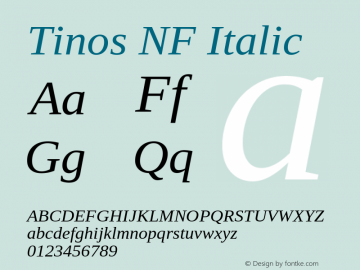 Tinos Italic Nerd Font Complete Windows Compatible Version 1.23 Font Sample