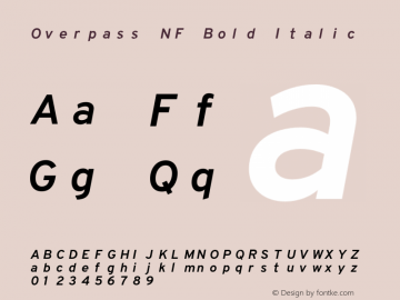 Overpass Bold Italic Nerd Font Complete Mono Windows Compatible Version 3.000;DELV;Overpass图片样张