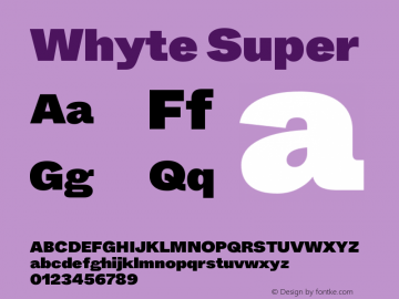 Whyte-Super Version 1.100 | wf-rip DC20190310图片样张
