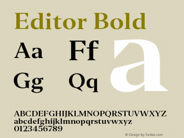 Editor-Bold Version 1.0 | w-rip DC20190310 Font Sample