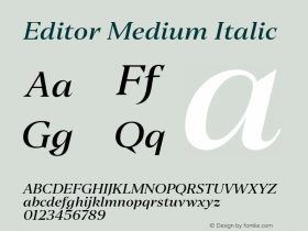 Editor-MediumItalic Version 1.0 | w-rip DC20190310 Font Sample