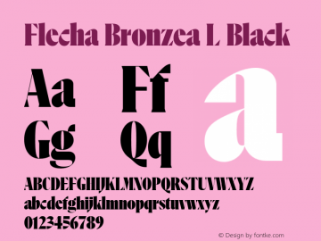 FlechaBronzea-LBlack 1.000图片样张
