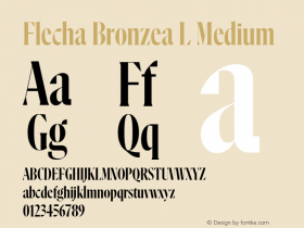 FlechaBronzea-LMedium 1.000图片样张