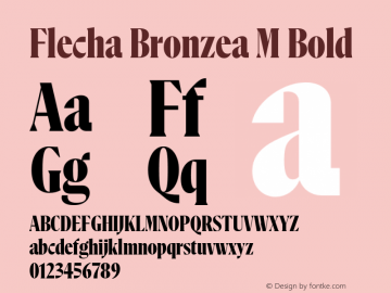 FlechaBronzea-MBold 1.000 Font Sample