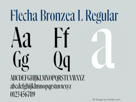 FlechaBronzea-LRegular 1.000 Font Sample