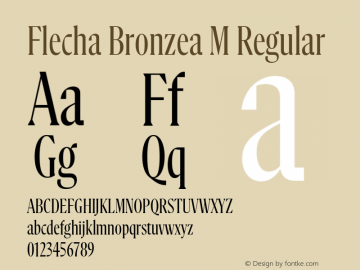 FlechaBronzea-MRegular 1.000图片样张