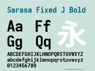 Sarasa Fixed J Bold 图片样张