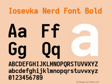 Iosevka Bold Nerd Font Complete 1.14.2; ttfautohint (v1.7.9-c794) Font Sample