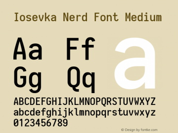 Iosevka Medium Nerd Font Complete 1.14.2; ttfautohint (v1.7.9-c794) Font Sample