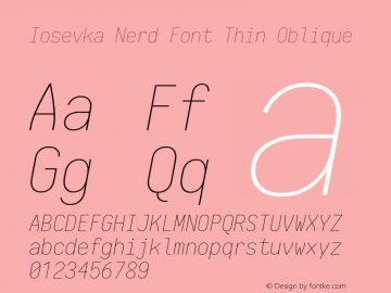 Iosevka Thin Oblique Nerd Font Complete 1.14.2; ttfautohint (v1.7.9-c794) Font Sample