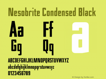 NesobriteCdBl-Regular Version 1.000 Font Sample