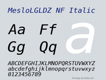 Meslo LG L DZ Italic Nerd Font Complete Mono Windows Compatible 1.210图片样张