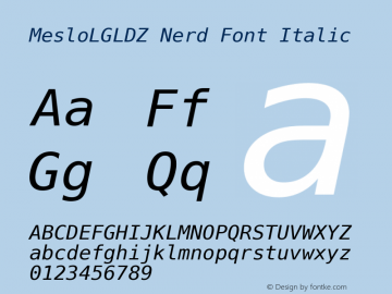 Meslo LG L DZ Italic Nerd Font Complete 1.210图片样张