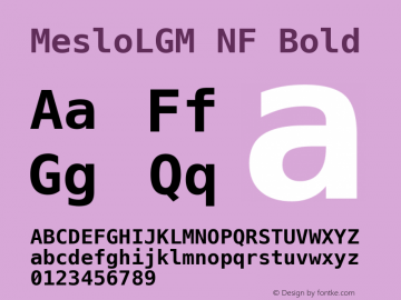 Meslo LG M Bold Nerd Font Complete Mono Windows Compatible 1.210图片样张