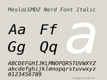 Meslo LG M DZ Italic Nerd Font Complete 1.210图片样张