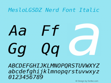 Meslo LG S DZ Italic Nerd Font Complete 1.210图片样张