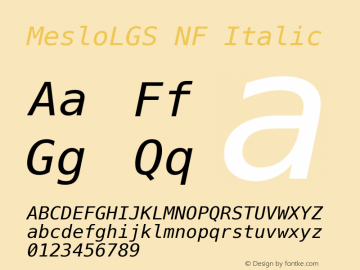 Meslo LG S Italic Nerd Font Complete Mono Windows Compatible 1.210图片样张