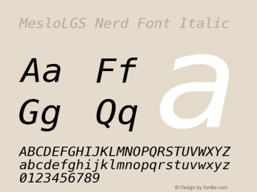 Meslo LG S Italic Nerd Font Complete 1.210 Font Sample