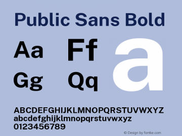 Public Sans Bold Version 1.002 Font Sample