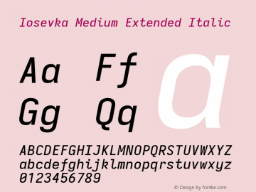 Iosevka Medium Extended Italic 3.0.0-rc.7图片样张